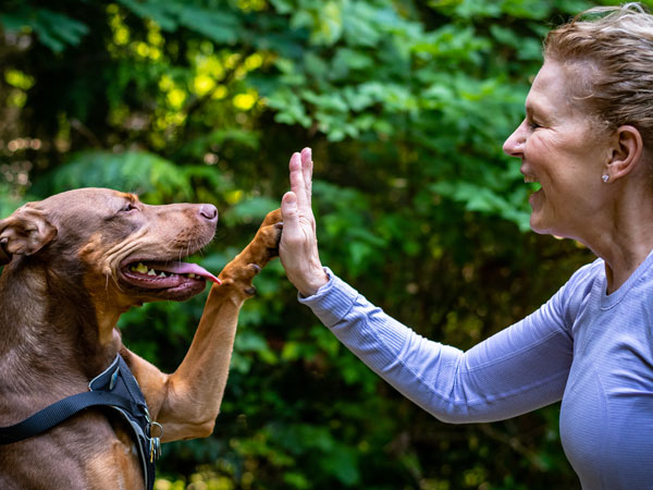 Woman giving a dog a high five