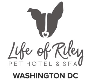Life of Riley Washington DC