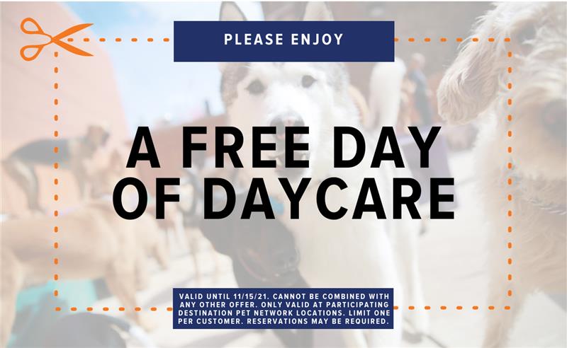 Coupon - Free day of daycare