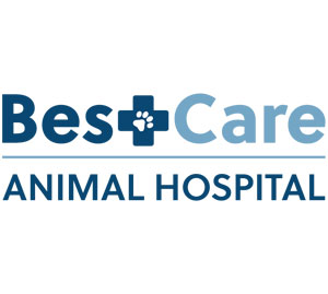 Best care animal hospital