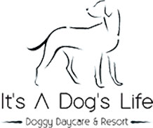 It's a Dog's Life Resort